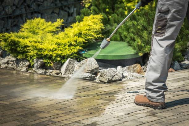 Trusted White Pine, TN Pressure Washing Services Experts